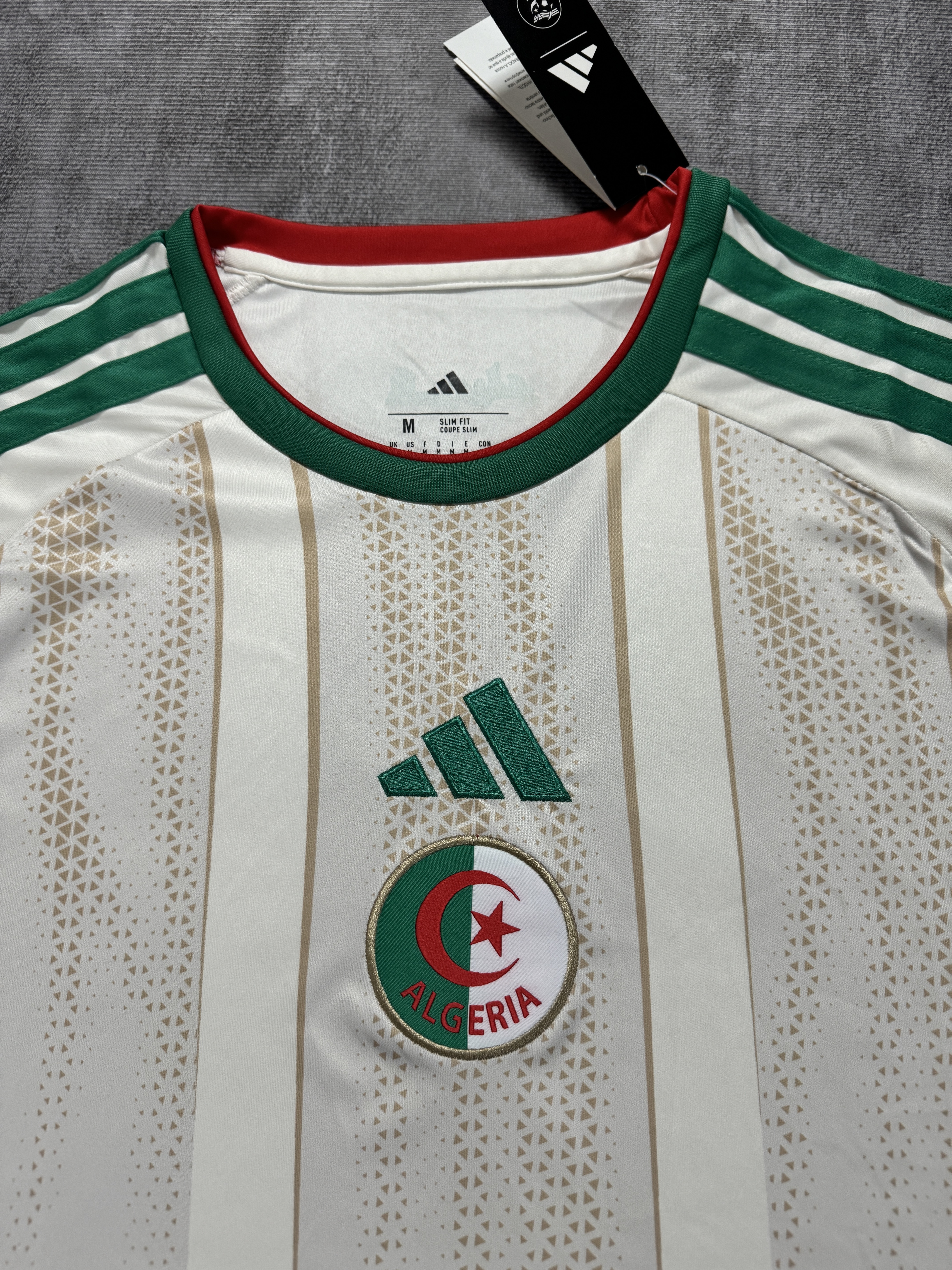 Argelia Local 2026 miniatura 2